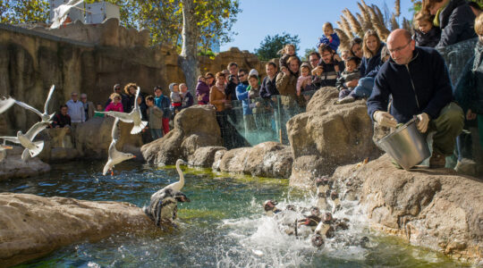 parc animalier en Rhône-Alpes.png