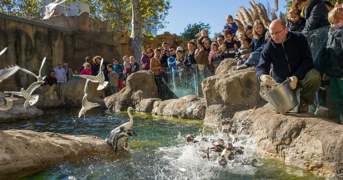 parc animalier en Rhône-Alpes.png